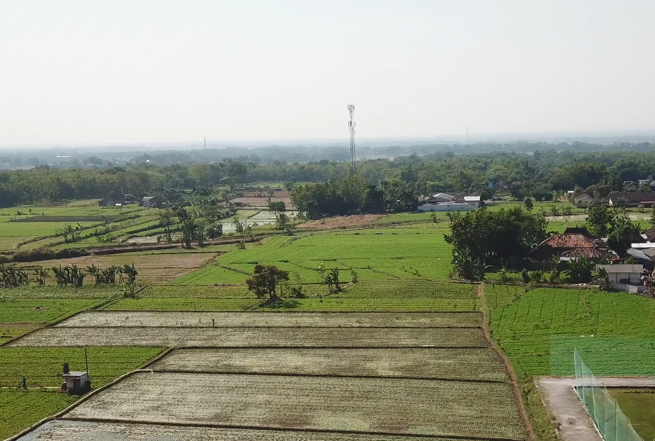 Areal Persawahan dan Perkebunan